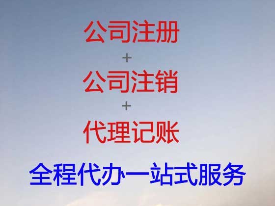 楚雄公司注册-公司减资变更